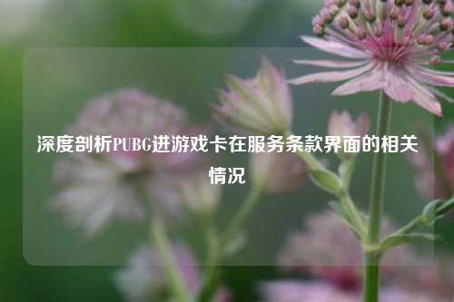 深度剖析PUBG进游戏卡在服务条款界面的相关情况