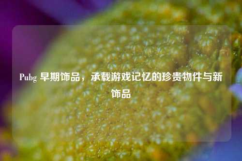 Pubg 早期饰品,承载游戏记忆的珍贵物件与新饰品