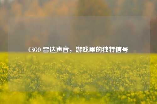 CSGO 雷达声音，游戏里的独特信号