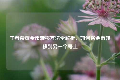 王者荣耀金币转移方法全解析，如何将金币转移到另一个号上