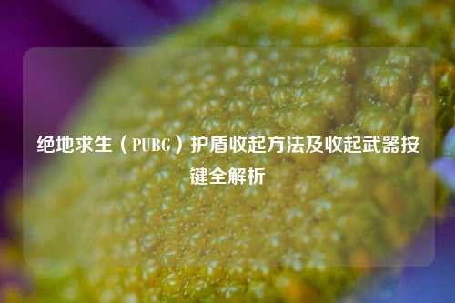 绝地求生（PUBG）护盾收起方法及收起武器按键全解析