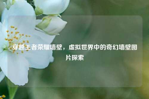 穿越王者荣耀墙壁，虚拟世界中的奇幻墙壁图片探索