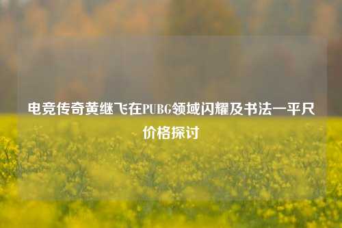 电竞传奇黄继飞在PUBG领域闪耀及书法一平尺价格探讨