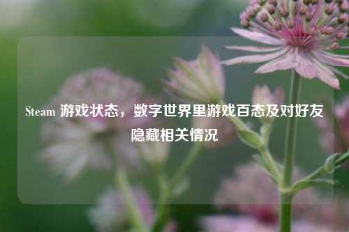 Steam 游戏状态，数字世界里游戏百态及对好友隐藏相关情况