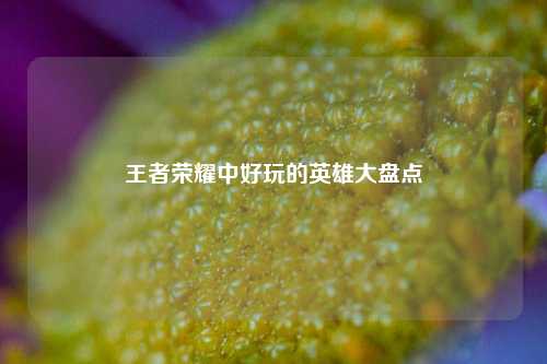 王者荣耀中好玩的英雄大盘点