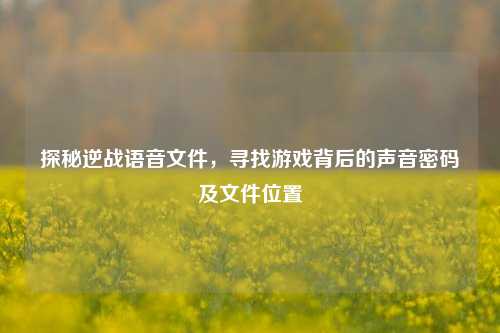 探秘逆战语音文件，寻找游戏背后的声音密码及文件位置