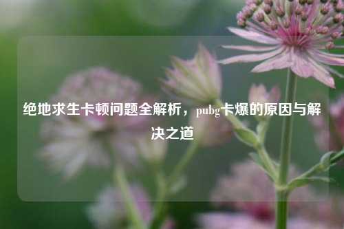 绝地求生卡顿问题全解析，pubg卡爆的原因与解决之道