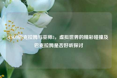 CSGO巴克拉姆与巫师3，虚拟世界的精彩碰撞及巴克拉姆是否好听探讨