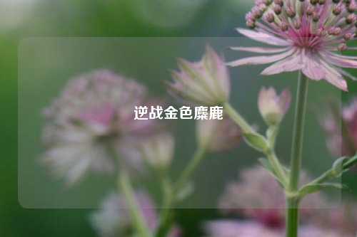 逆战金色麋鹿