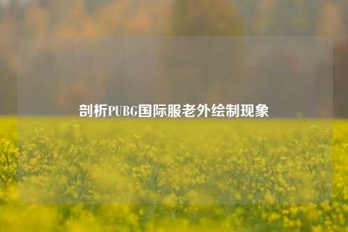 剖析PUBG国际服老外绘制现象