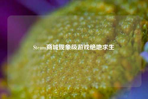 Steam商城现象级游戏绝地求生