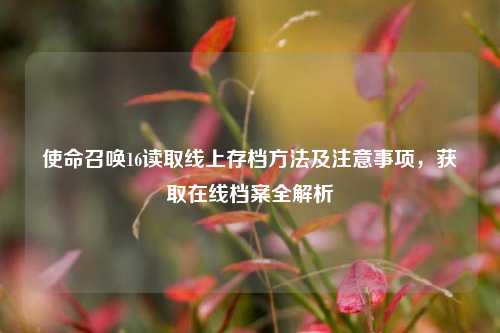 使命召唤16读取线上存档方法及注意事项，获取在线档案全解析