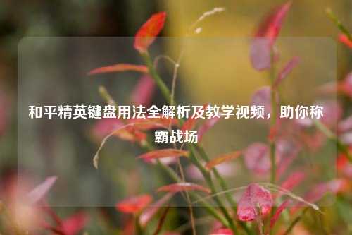 和平精英键盘用法全解析及教学视频，助你称霸战场
