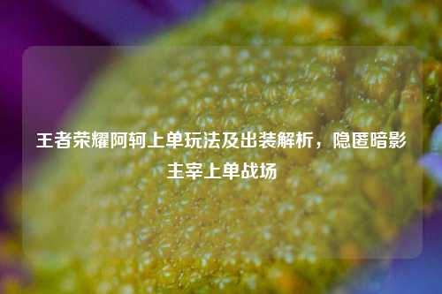 王者荣耀阿轲上单玩法及出装解析，隐匿暗影主宰上单战场
