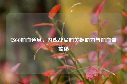 CSGO加血道具，游戏战局的关键助力与加血量揭秘