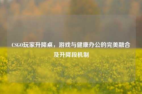 CSGO玩家升降桌，游戏与健康办公的完美融合及升降段机制