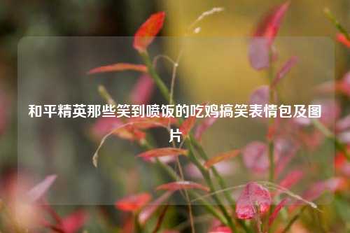 和平精英那些笑到喷饭的吃鸡搞笑表情包及图片