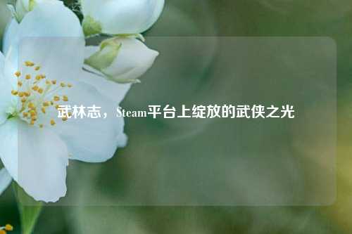 武林志，Steam平台上绽放的武侠之光