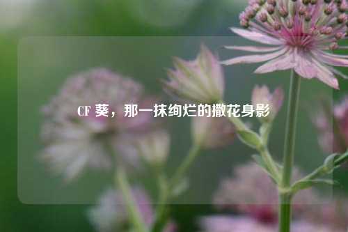 CF 葵，那一抹绚烂的撒花身影