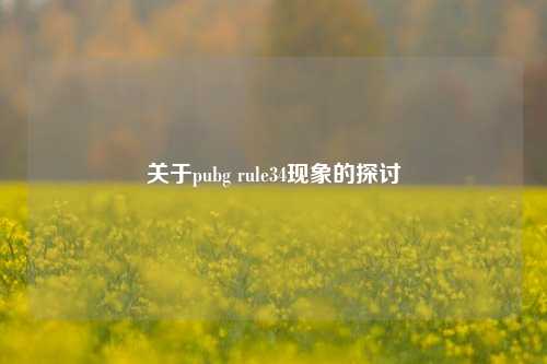 关于pubg rule34现象的探讨