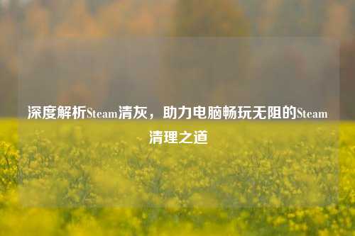深度解析Steam清灰，助力电脑畅玩无阻的Steam清理之道