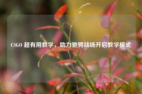 CSGO 超有用教学，助力驰骋战场开启教学模式