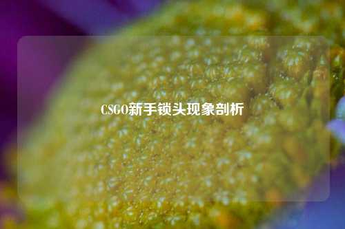 CSGO新手锁头现象剖析