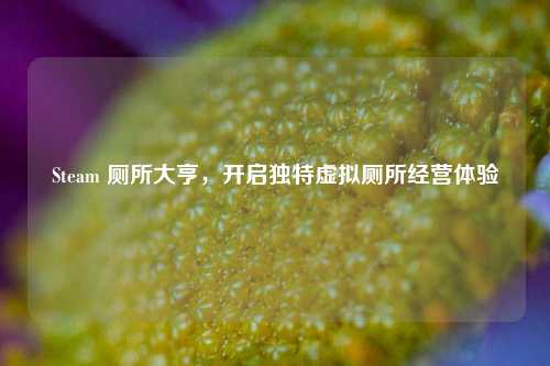 Steam 厕所大亨，开启独特虚拟厕所经营体验
