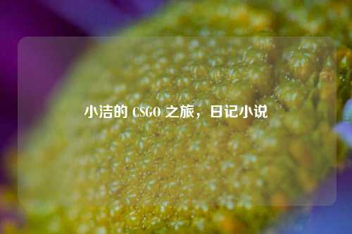 小洁的 CSGO 之旅，日记小说
