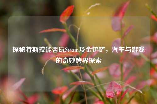 探秘特斯拉能否玩Steam及金铲铲，汽车与游戏的奇妙跨界探索