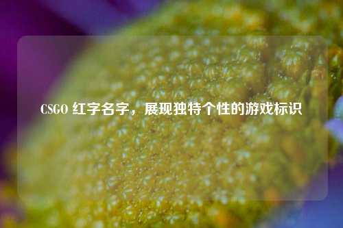 CSGO 红字名字，展现独特个性的游戏标识