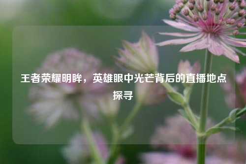 王者荣耀明眸，英雄眼中光芒背后的直播地点探寻