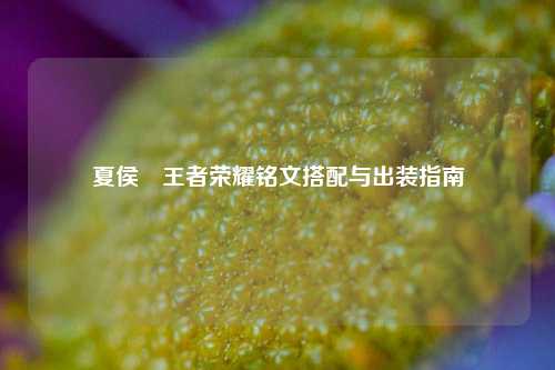 夏侯惇王者荣耀铭文搭配与出装指南