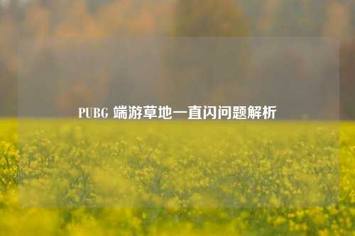 PUBG 端游草地一直闪问题解析