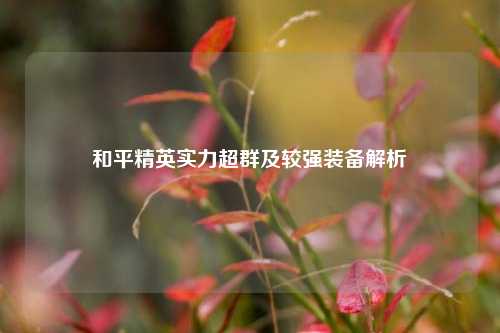 和平精英实力超群及较强装备解析