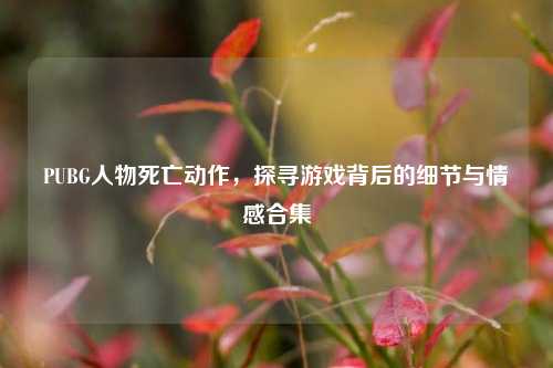 PUBG人物死亡动作，探寻游戏背后的细节与情感合集
