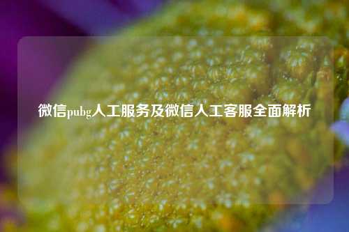 微信pubg人工服务及微信人工客服全面解析