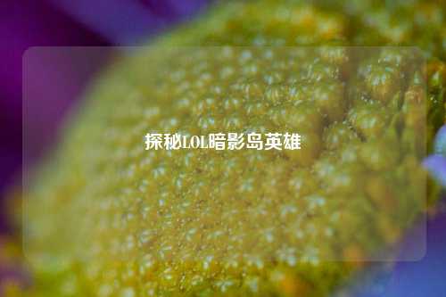 探秘LOL暗影岛英雄