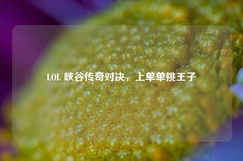 LOL 峡谷传奇对决，上单单挑王子