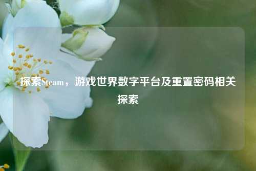探索Steam,游戏世界数字平台及重置密码相关探索