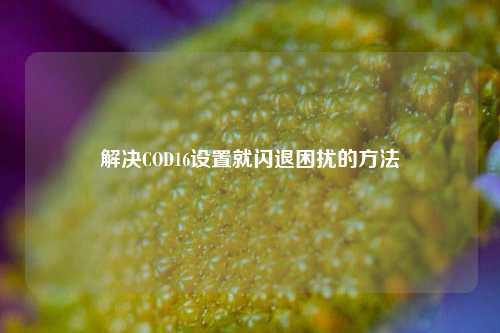 解决COD16设置就闪退困扰的方法