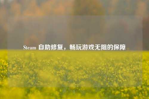 Steam 自助修复，畅玩游戏无阻的保障