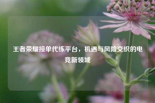 王者荣耀接单代练平台，机遇与风险交织的电竞新领域
