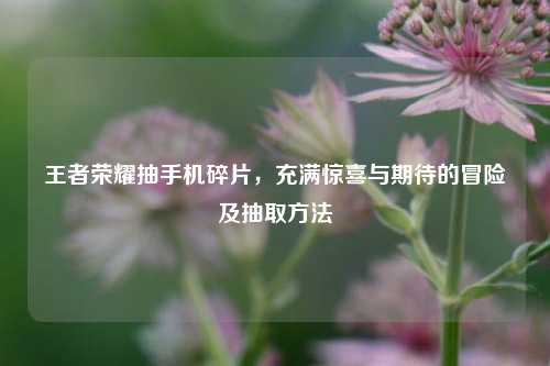 王者荣耀抽手机碎片，充满惊喜与期待的冒险及抽取方法