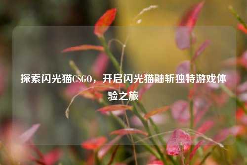 探索闪光猫CSGO，开启闪光猫鼬斩独特游戏体验之旅