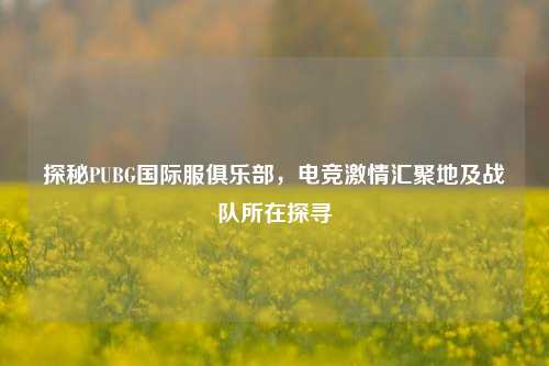 探秘PUBG国际服俱乐部，电竞激情汇聚地及战队所在探寻