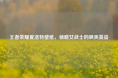 王者荣耀夏洛特壁纸，领略女战士的飒爽英姿