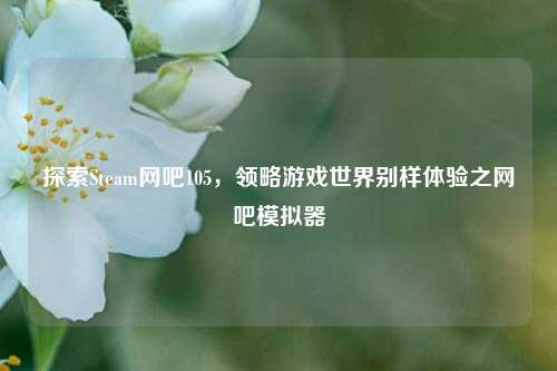 探索Steam网吧105，领略游戏世界别样体验之网吧模拟器