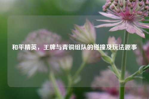和平精英，王牌与青铜组队的碰撞及玩法趣事