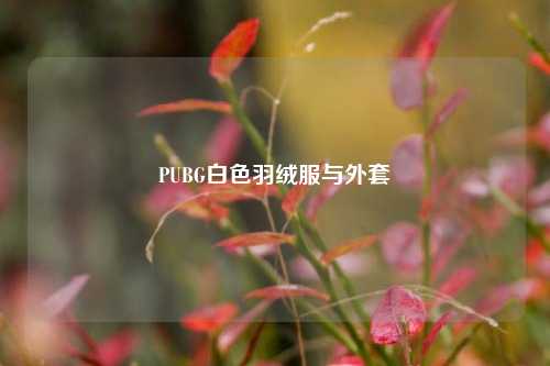 PUBG白色羽绒服与外套